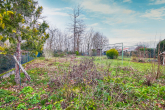 Wunderbar aufgeteiltes Familienhaus mit riesigem Gartengrundstück und Blick auf die Burg Stettenfels - Garten hinter dem Haus