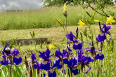 SCHÖNES EINFAMILIENHAUS MIT HANGGESCHOSS IN TOP AUSSICHTSLAGE VON MICHELBACH - Gartenimpressionen
