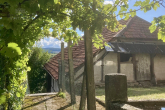 Sanierungsbedürftiges Weinbauernidyl mit Scheune sucht Dorfliebhaber - Gartenimpressionen