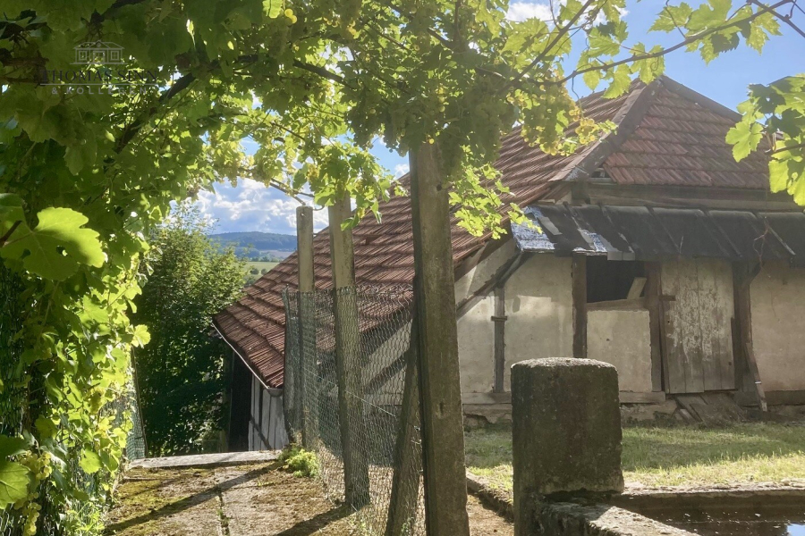 Gartenimpressionen