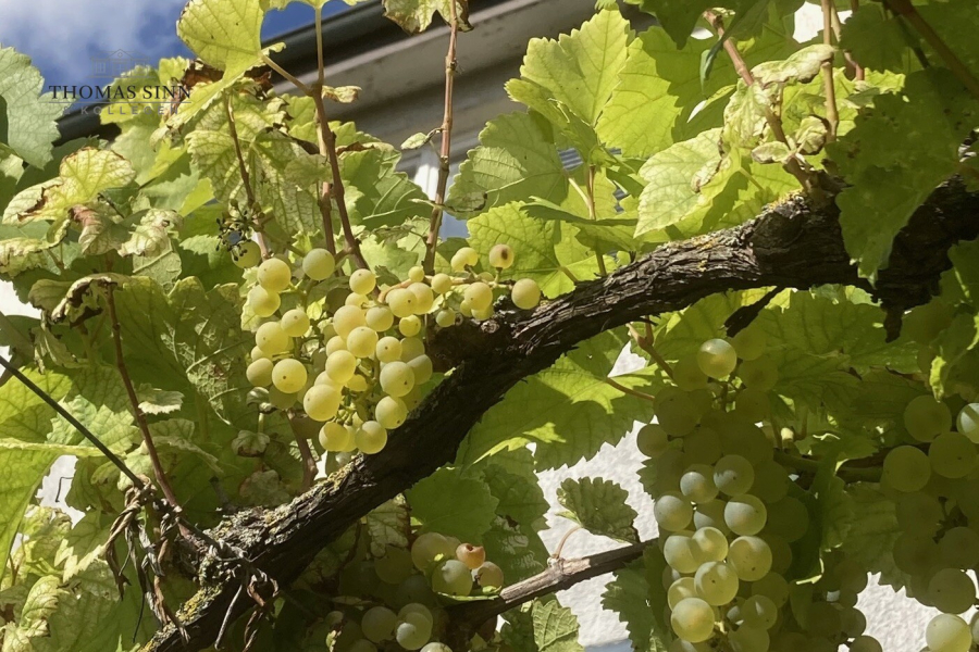 Gartenimpressionen
