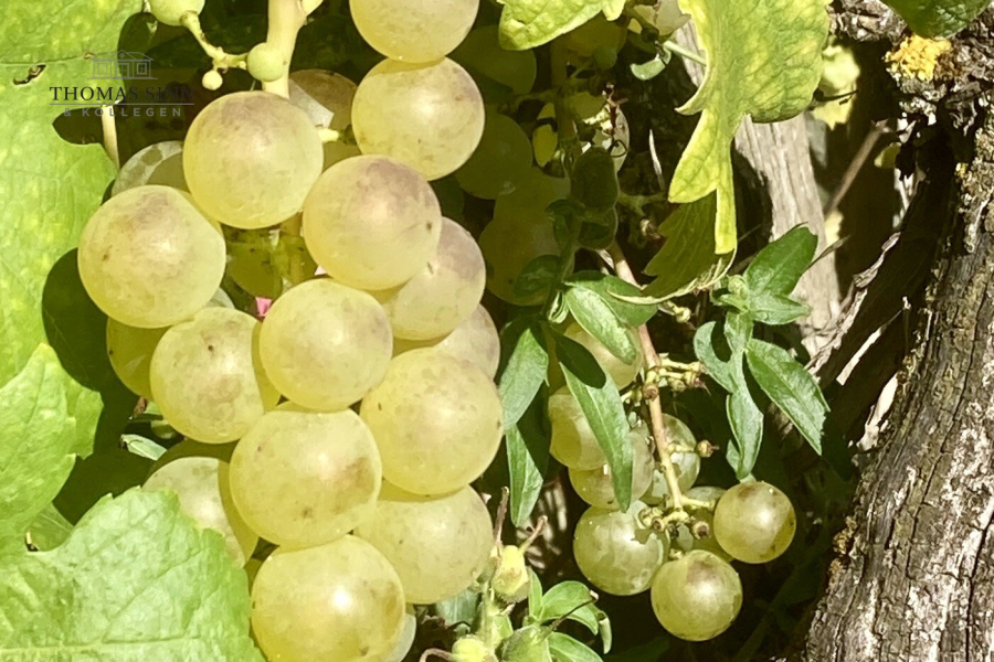 Gartenimpressionen