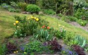 Ruhige Aussichtslage im Rottal Haus mit Wintergarten und Einliegerwohnung Traumhafter Landhausgarten - Garten