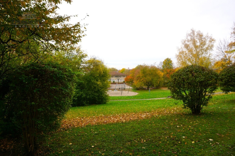 Blick ins Grüne